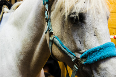 Similar image 21879555