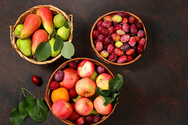 Similar image 21879291