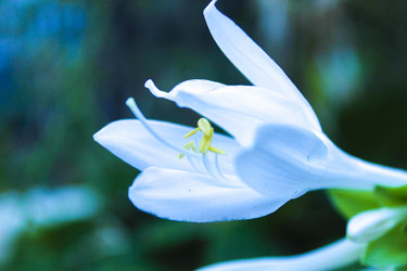 Similar image 21879556