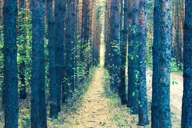 Similar image 21879557