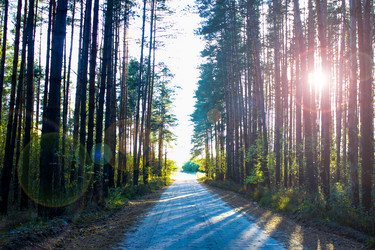 Similar image 21879558