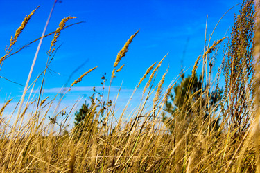 Similar image 21879562