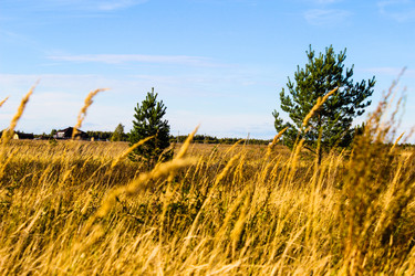 Similar image 21879563