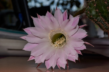 Similar image 21878641