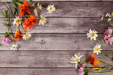 Similar image 21882022