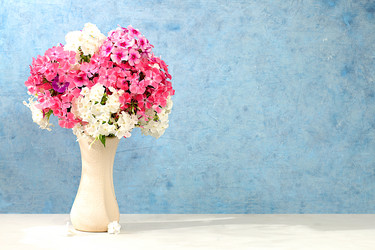 Similar image 21882026