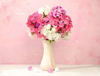 Similar image 21882027