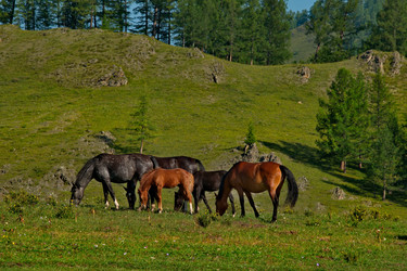 Similar image 21879891