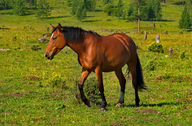 Similar image 21879892