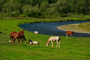 Similar image 21879893