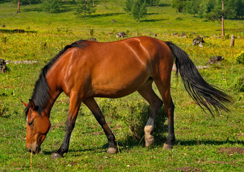 Similar image 21879894