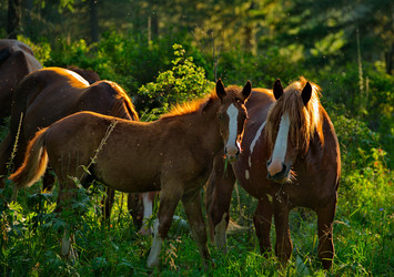 Similar image 21879896