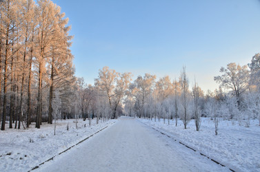 Similar image 21879586