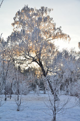 Similar image 21879587