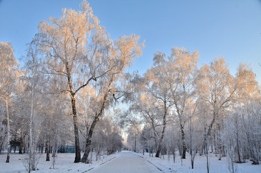 Similar image 21879589