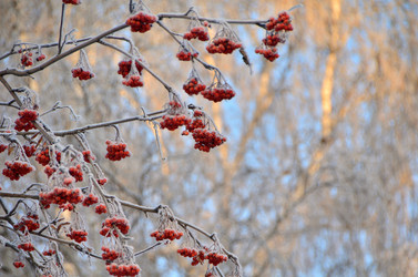 Similar image 21879590