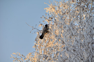 Similar image 21879591