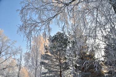 Similar image 21879592