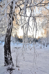 Similar image 21879593