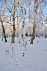 Similar image 21879594