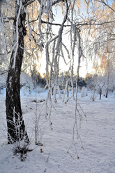 Similar image 21879595