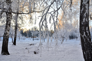 Similar image 21879596