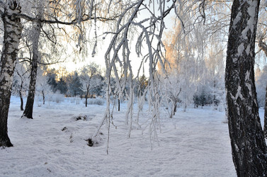 Similar image 21879597