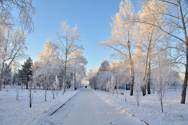 Similar image 21879599