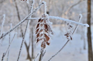 Similar image 21879600