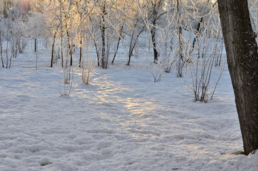 Similar image 21879602