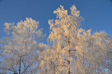 Similar image 21879603