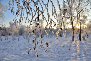 Similar image 21879605