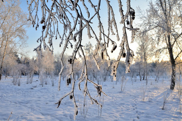 Similar image 21879606