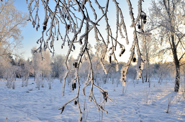 Similar image 21879607