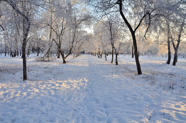 Similar image 21879608