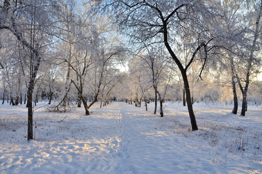 Similar image 21879609