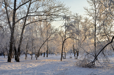 Similar image 21879611