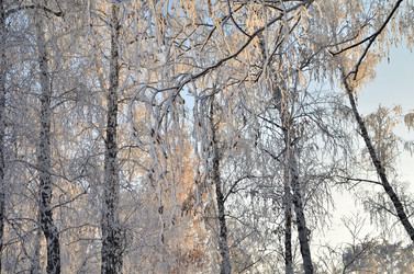 Similar image 21879617