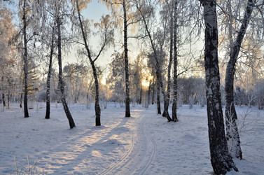 Similar image 21879618