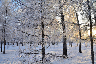 Similar image 21879621