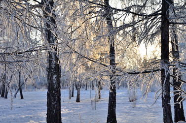 Similar image 21879623