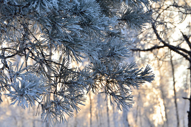 Similar image 21879624