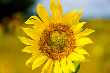 Similar image 21887422