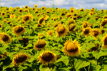 Similar image 21887423