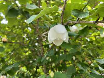 Similar image 21879433