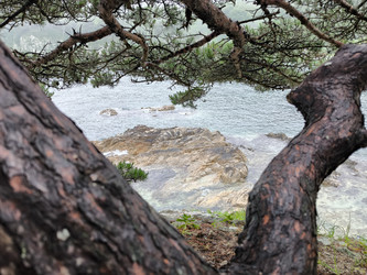 Similar image 21879435