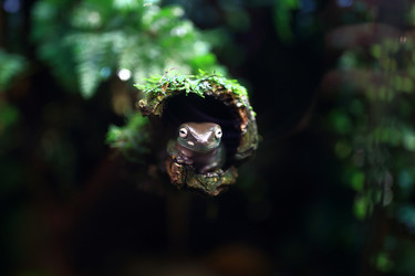 Similar image 21885229