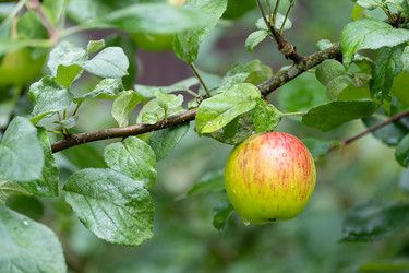 Similar image 21879445