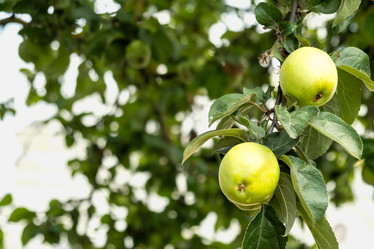 Similar image 21879446