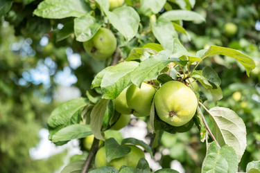 Similar image 21879447